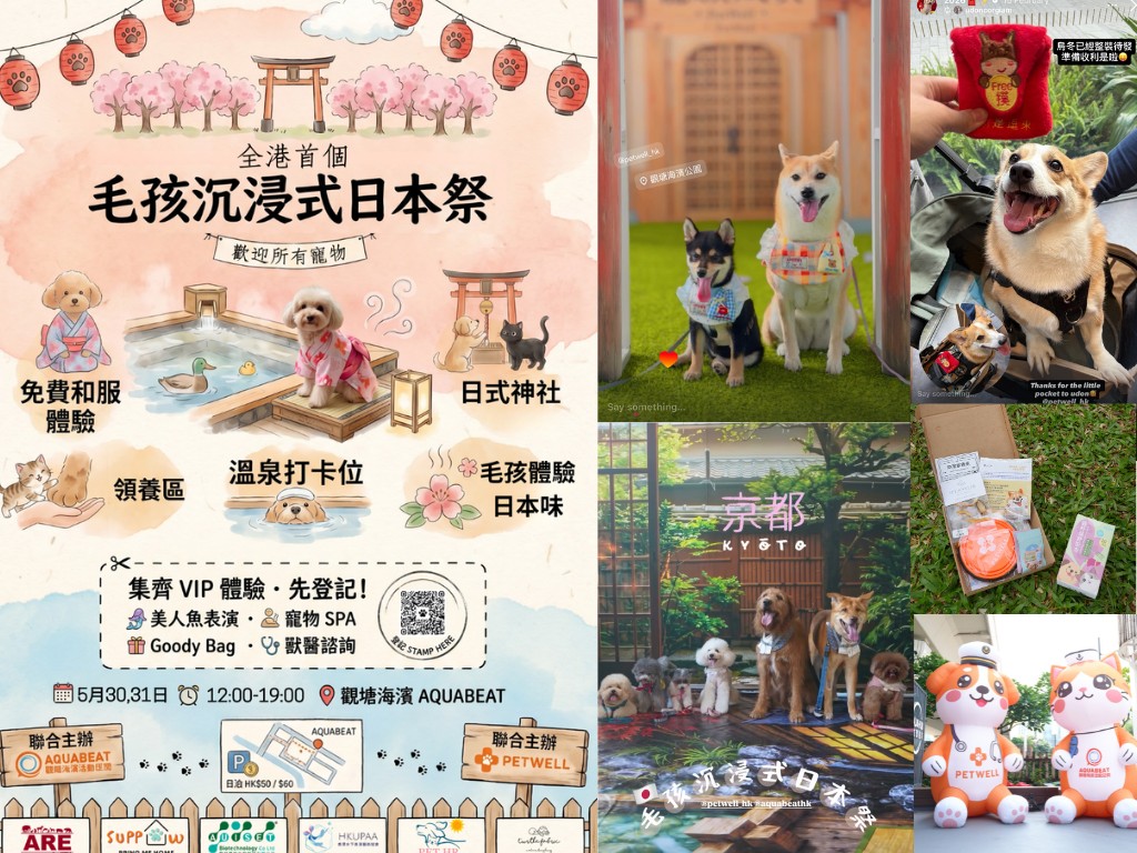 毛孩沉浸式日本祭 現場相片 1
