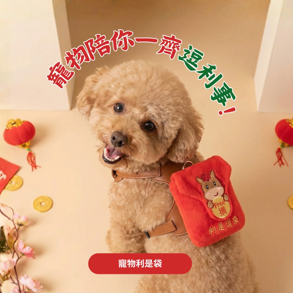 毛孩沉浸式日本祭 現場相片 5