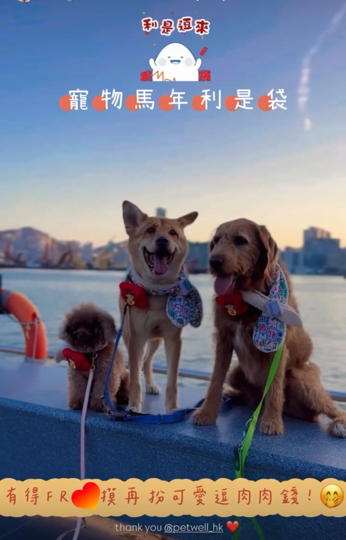 香港寵物活動現場觀眾與毛孩