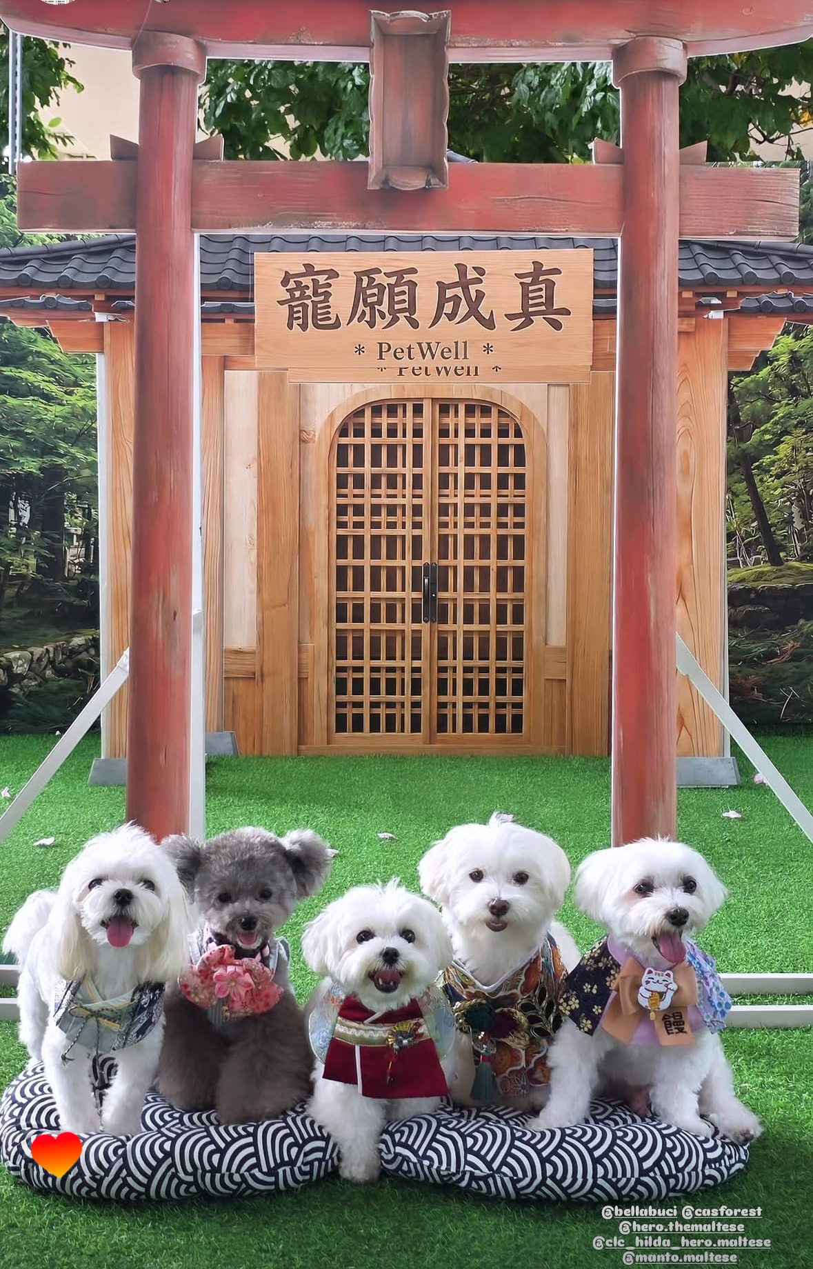 觀塘海濱寵物市集人寵共融現場